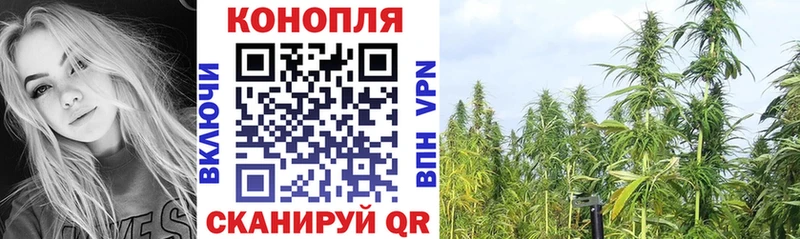 Канабис SATIVA & INDICA Опочка